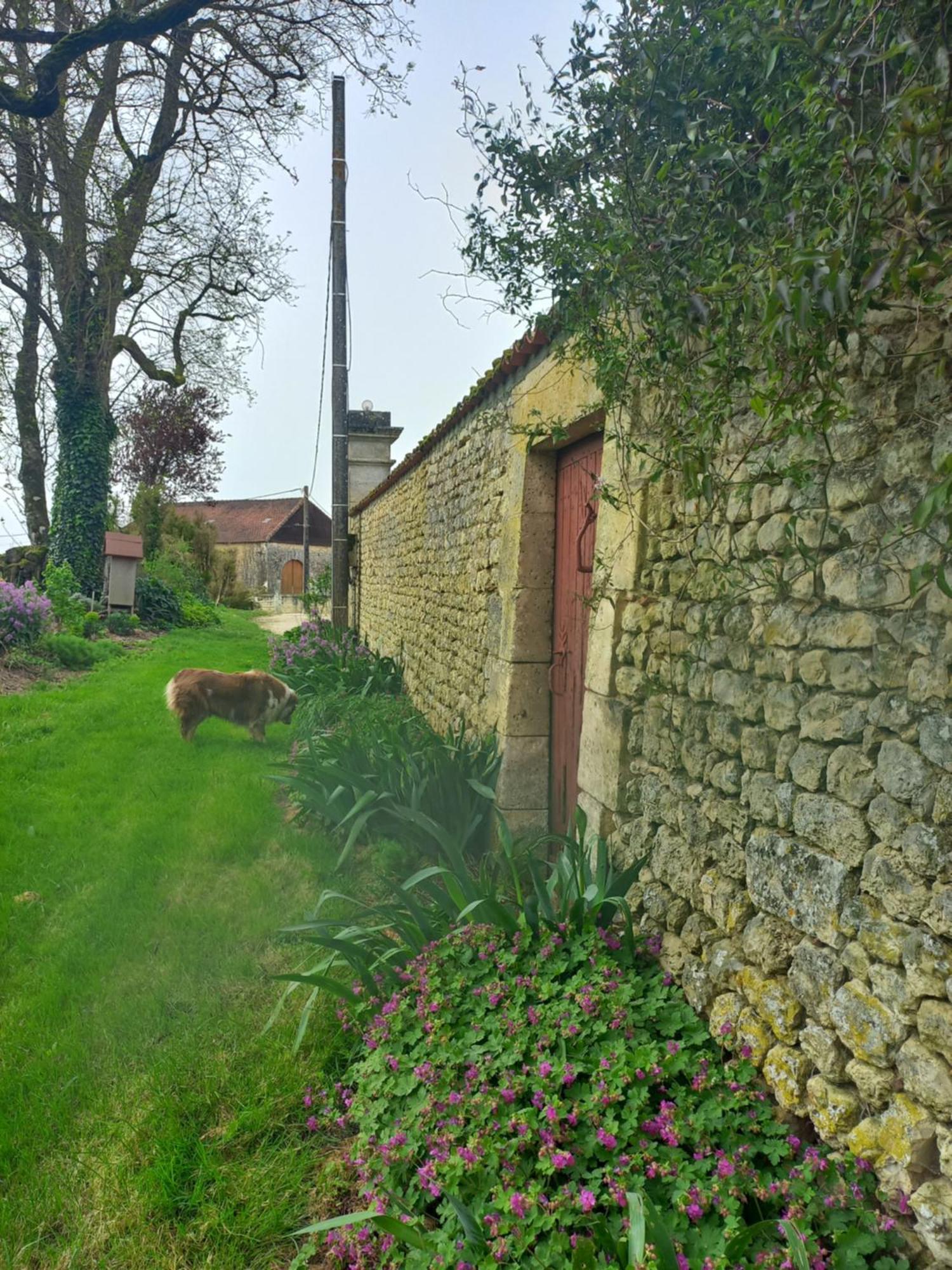 Domaine Chez Maurice Bed and Breakfast Becheresse Εξωτερικό φωτογραφία